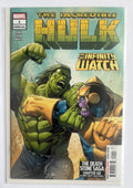 The Incredible Hulk Annual #1 - 1st Printing Marvel Comics October 2024 VF 8.0