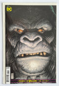 Justice League #27 - 1st Printing Variant Cover - DC Comics 2019 NM- 9.2