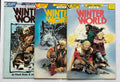 Winter World #1 to 3 Complete 3 Issue Set Eclipse Comics 1987 FN+ 6.5
