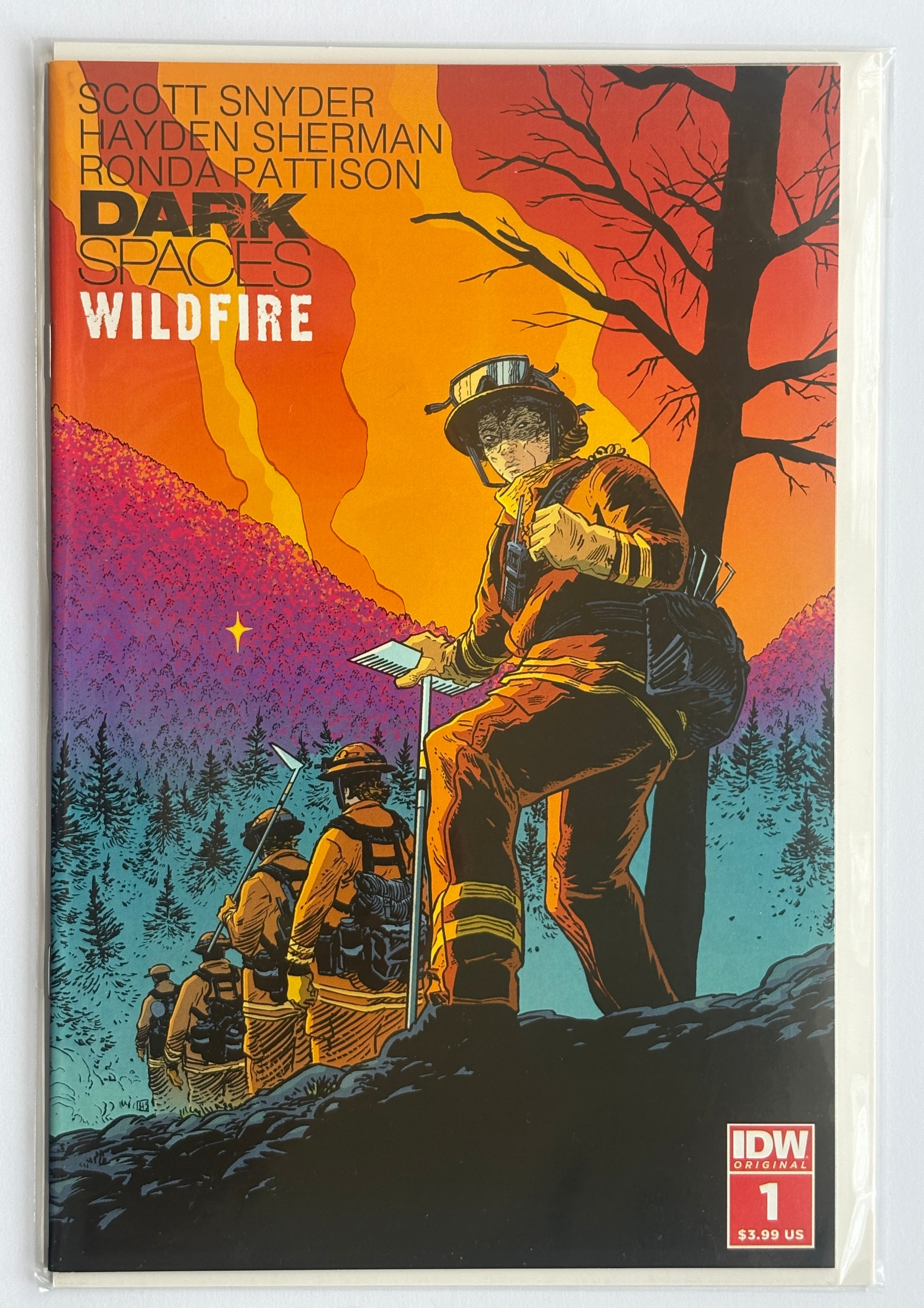 Dark Spaces: Wildfire #1 - 1st Printing IDW Comics July 2022 VF/NM 9.0