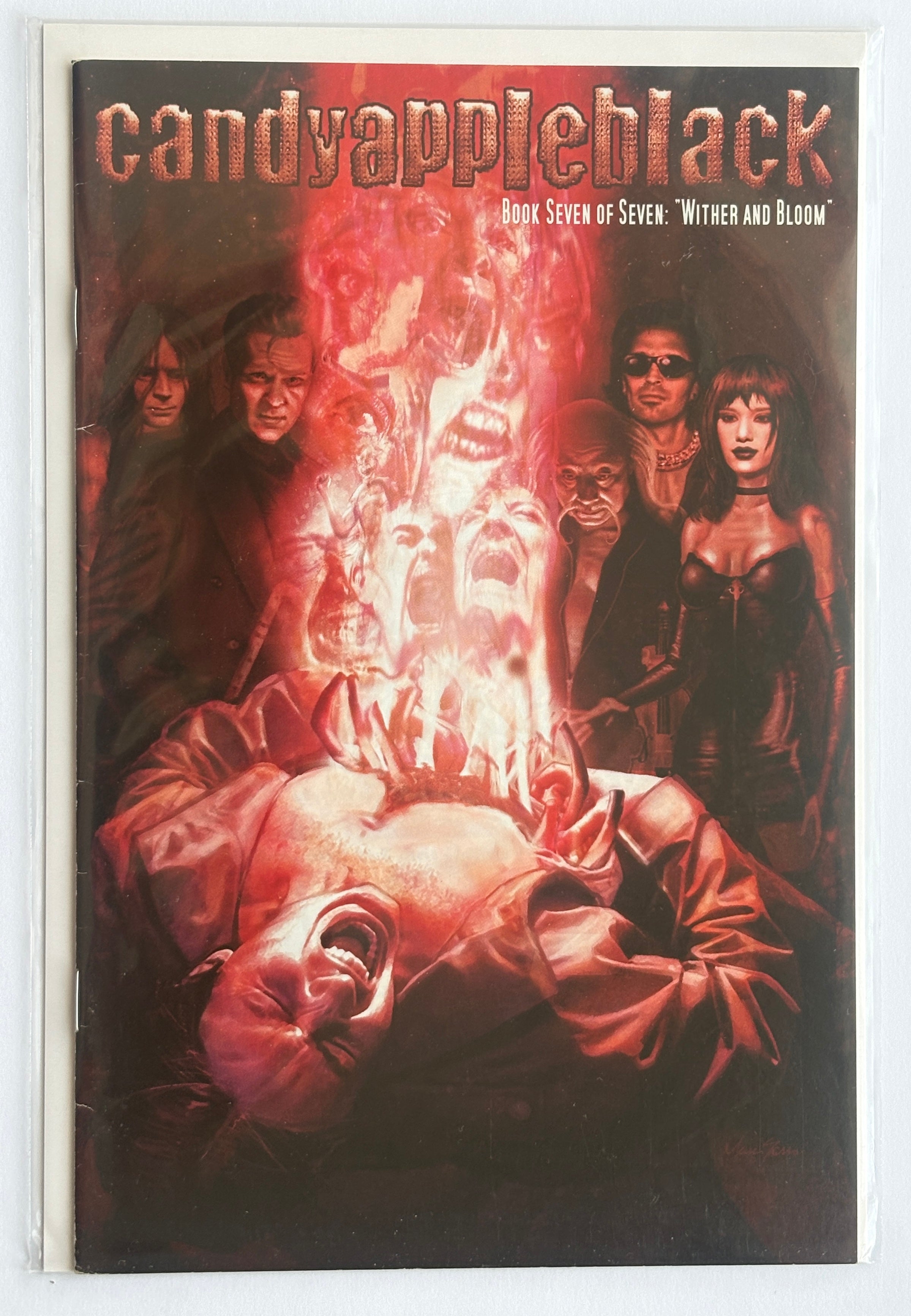 Candyappleblack #7 Wither and Bloom (7 of 7) - GIPC 2004 F/VF 7.0