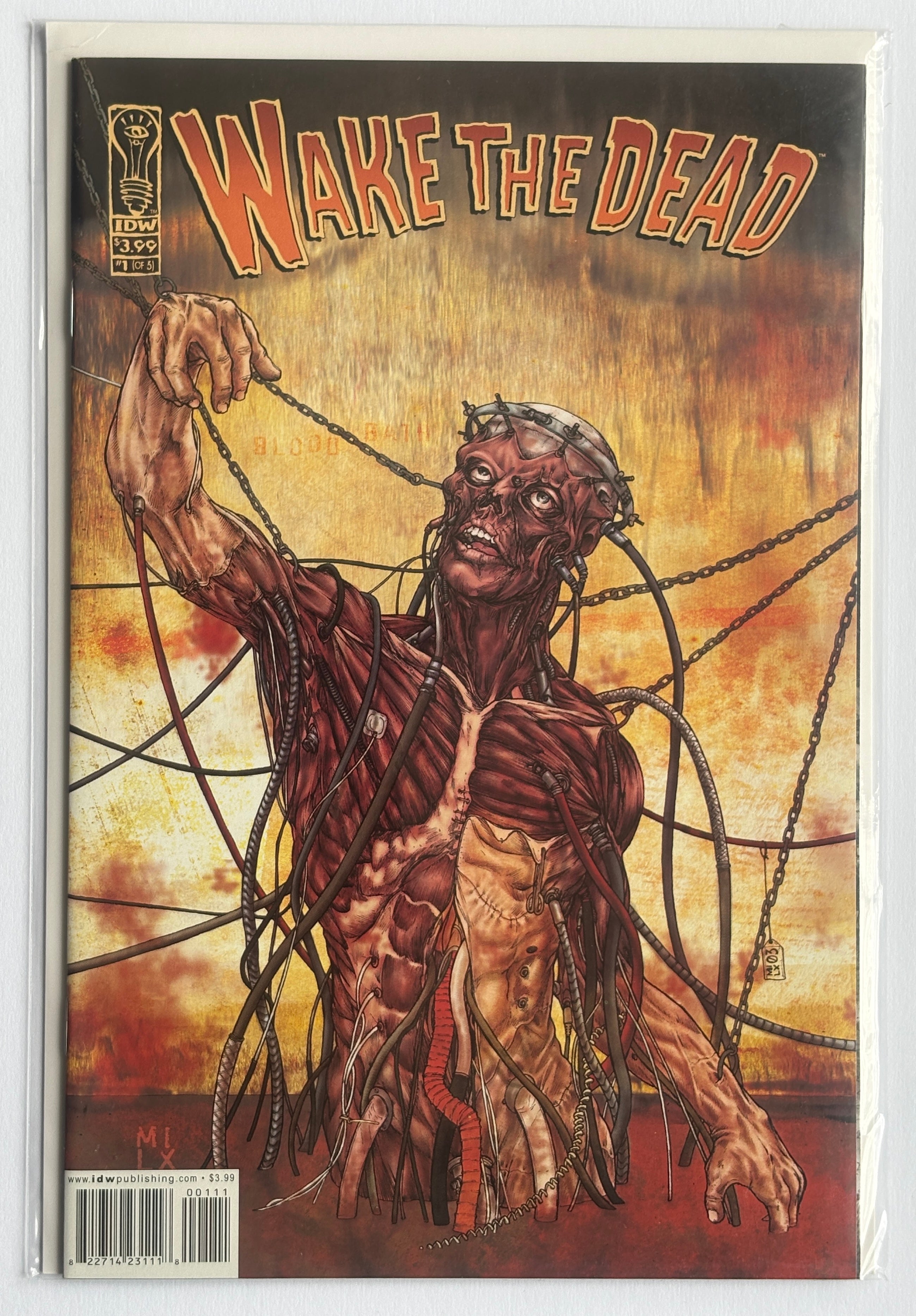 Wake the Dead #1 (of 5) 1st Printing IDW Publishing September 2003 VF/NM 9.0