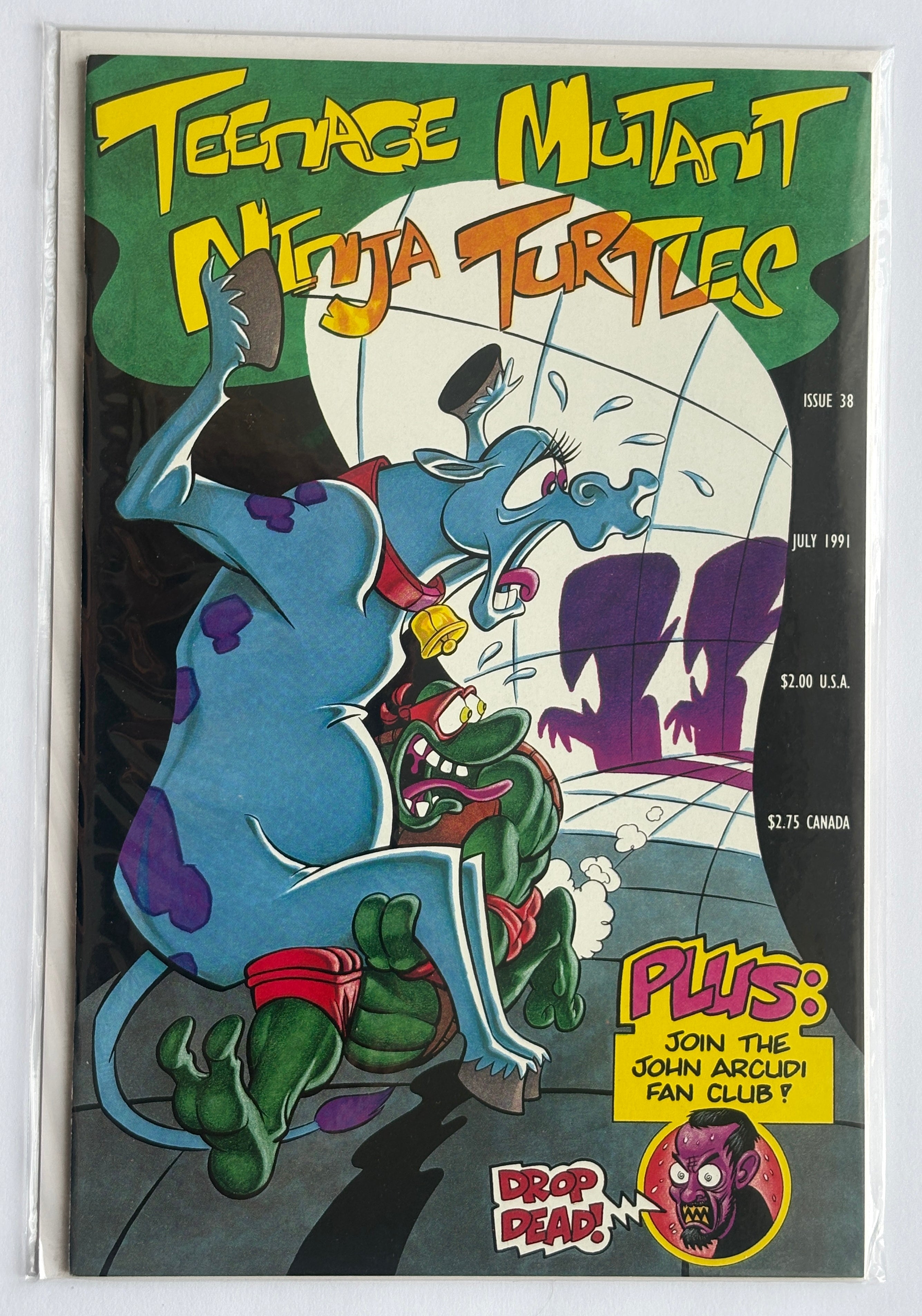 Teenage Mutant Ninja Turtles #38 - Mirage Publishing July 1991 VF/NM 9.0
